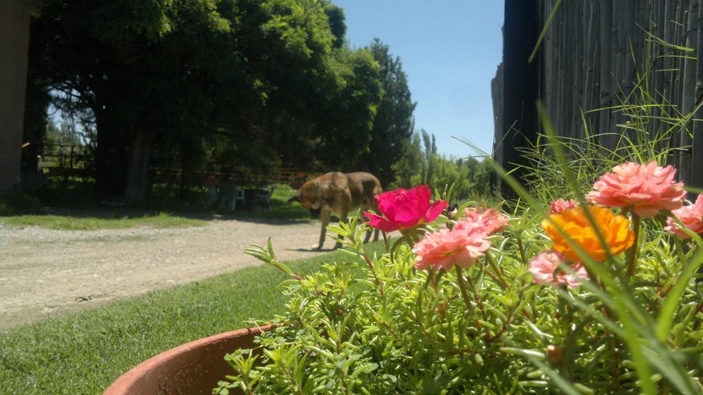 Posada Del Viajero San Rafael Kültér fotó
