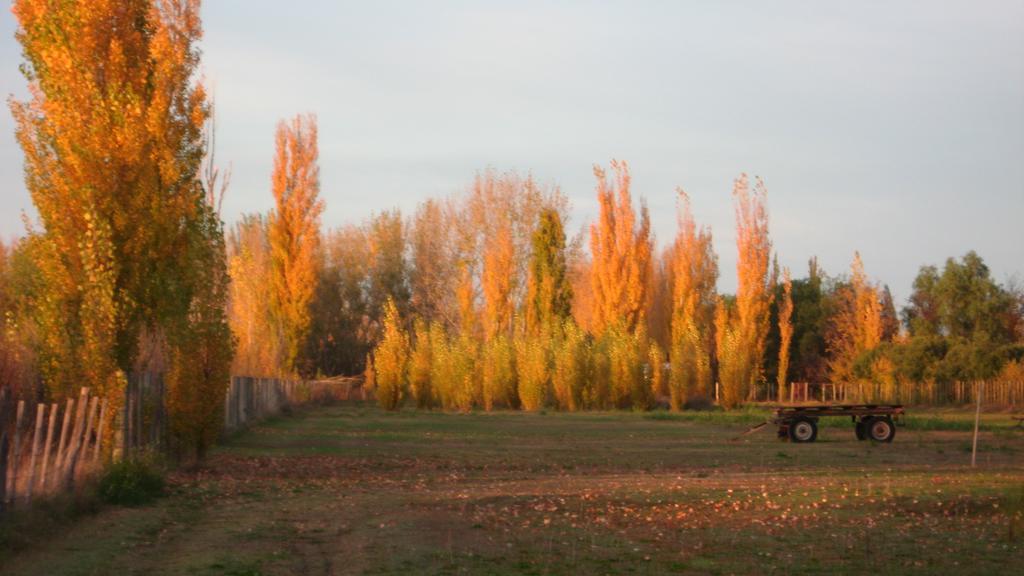 Posada Del Viajero San Rafael Kültér fotó