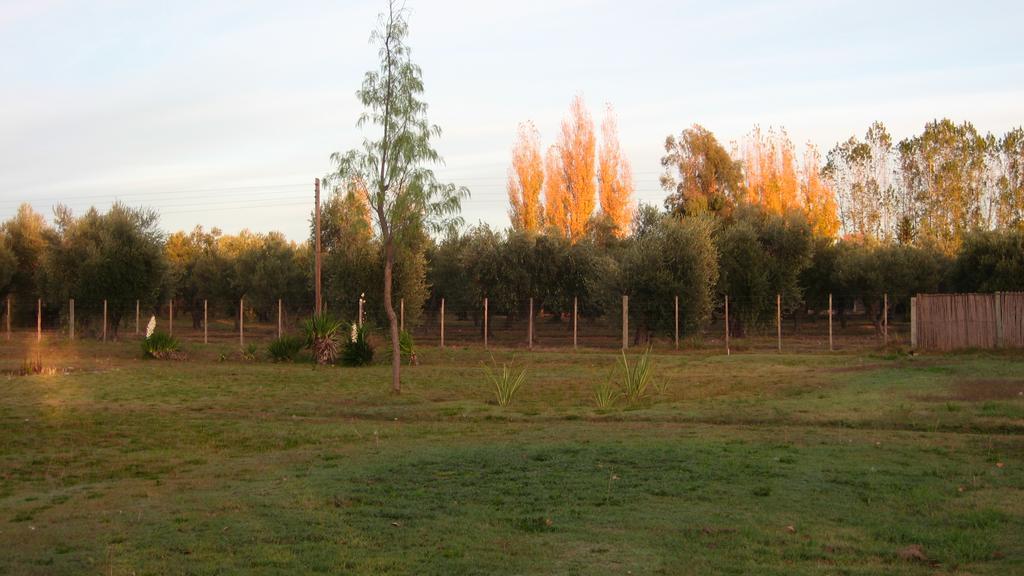 Posada Del Viajero San Rafael Kültér fotó