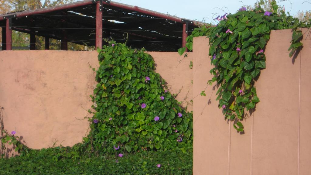 Posada Del Viajero San Rafael Kültér fotó